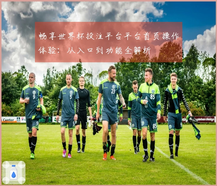 畅享世界杯投注平台平台首页操作体验：从入口到功能全解析