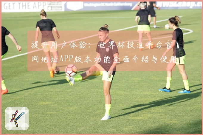 提升用户体验：世界杯投注平台官网地址APP版本功能全面介绍与使用指南