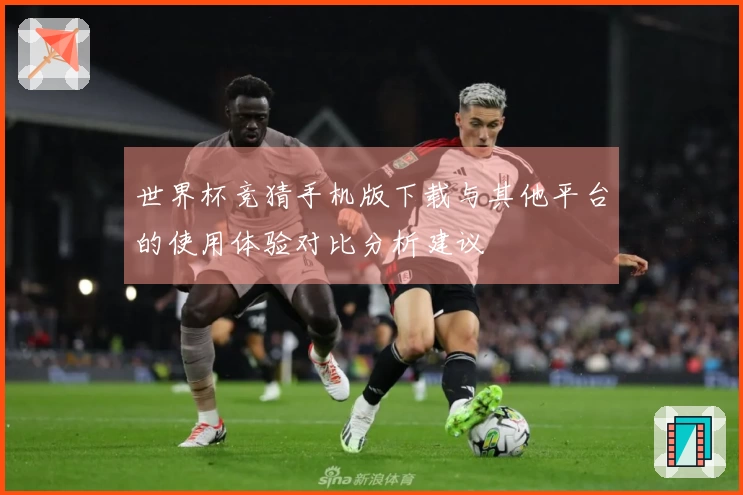 世界杯竞猜手机版下载与其他平台的使用体验对比分析建议
