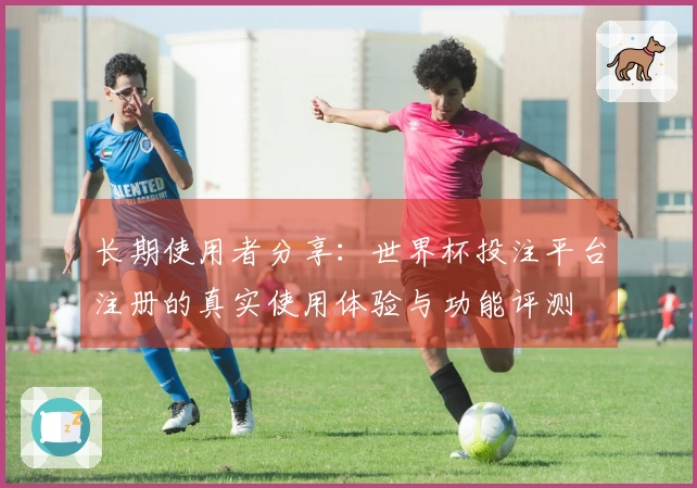 长期使用者分享：世界杯投注平台注册的真实使用体验与功能评测