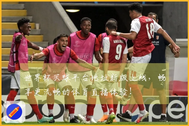 世界杯买球平台地址新版上线，畅享更流畅的体育直播体验！